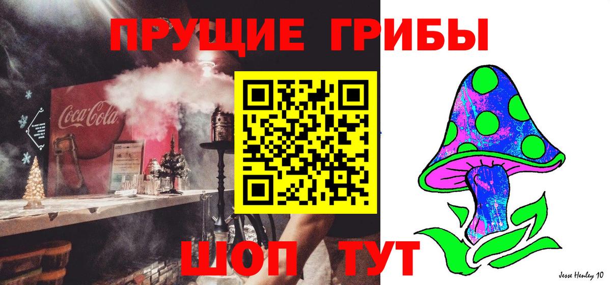 Галлюциногенные грибы Psilocybe  Псилоцибиновые грибы Cubensis  Вход с VPN  Саров 