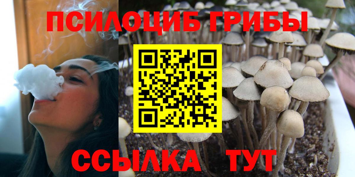 Псилоцибиновые грибы прущие грибы Саров